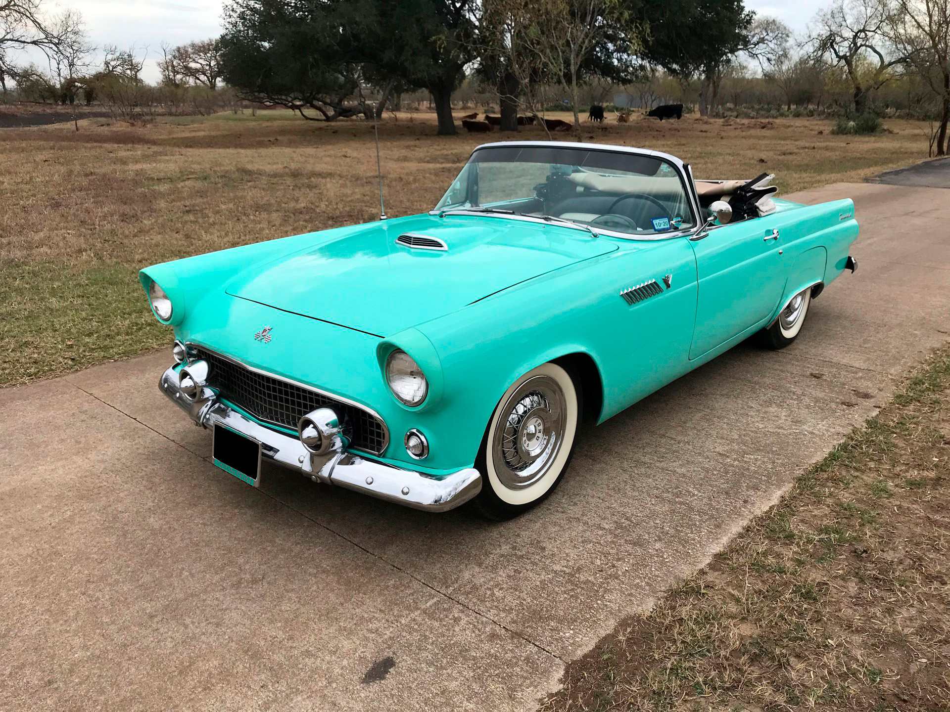 1955 Ford Thunderbird